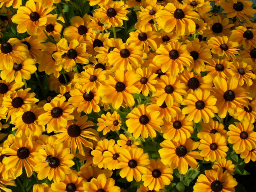 424136 (a): :1280x960